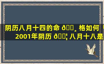 阴历八月十四的命 🌸 格如何「2001年阴历 🐦 八月十八是什么命格」